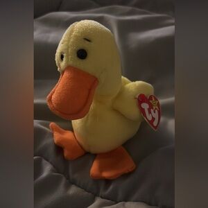 Quakers Beanie Baby TY